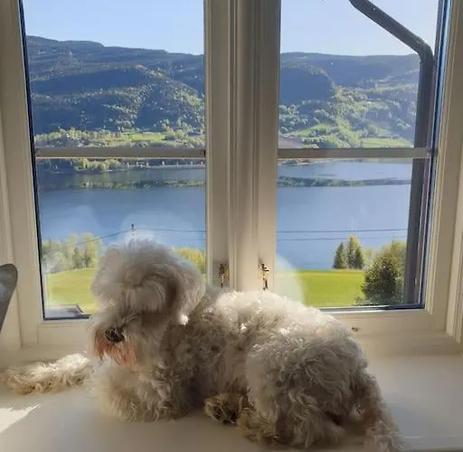 Stamp And Sauna! Small Farm With Fantastic View! Villa